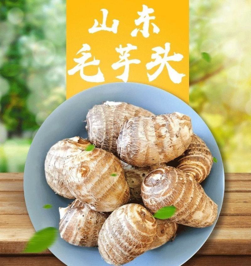 包邮】山东新鲜牛奶小芋头香芋现挖毛芋头芋艿当季农家芋仔