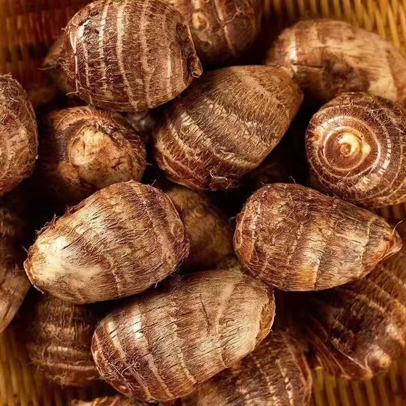 包邮】山东新鲜牛奶小芋头香芋现挖毛芋头芋艿当季农家芋仔