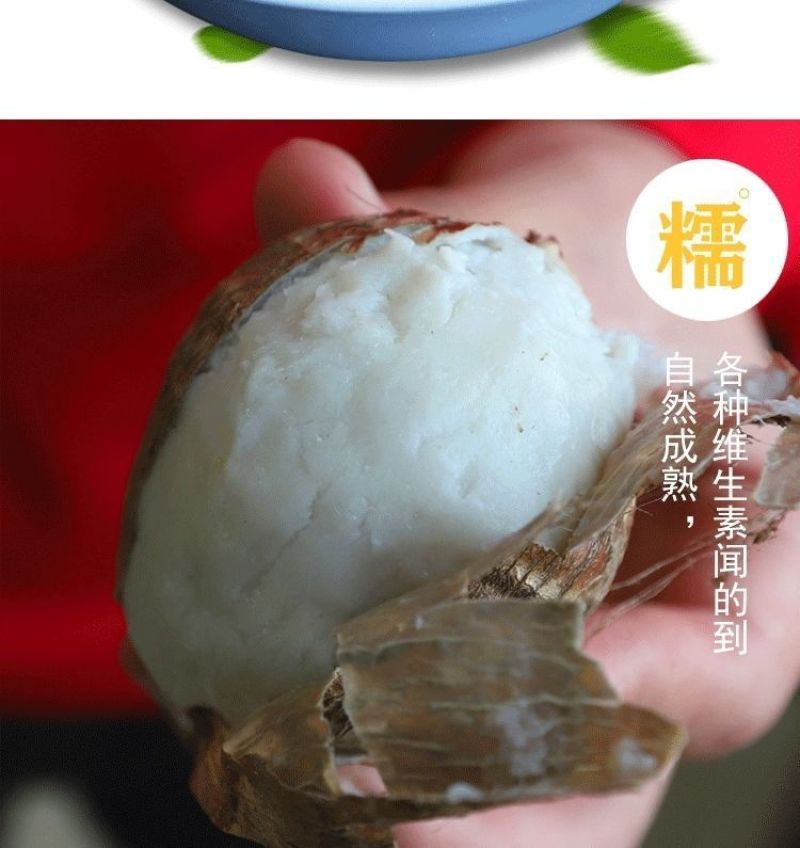 包邮】山东新鲜牛奶小芋头香芋现挖毛芋头芋艿当季农家芋仔