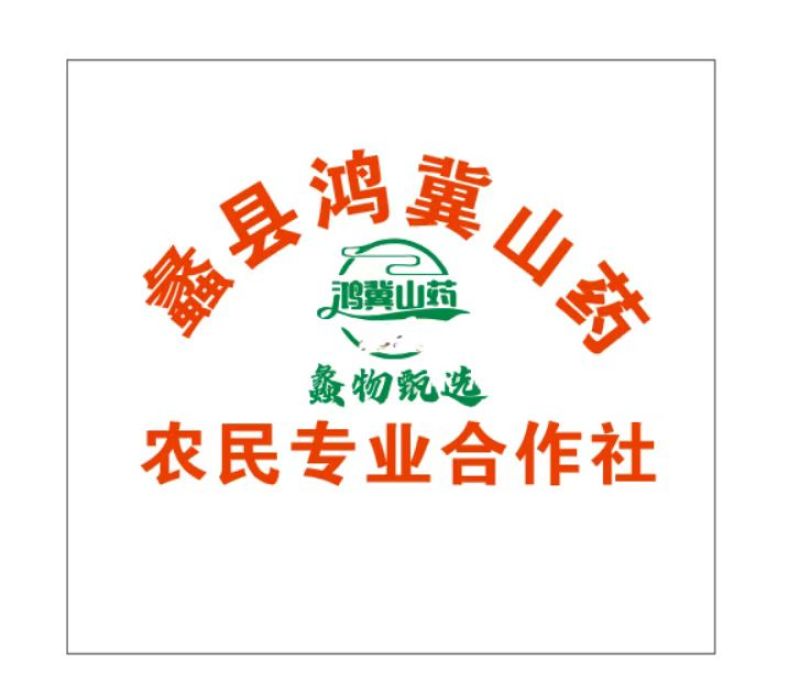 水洗双棒山药精品网袋双棒山药河北山药大量供应可视频看