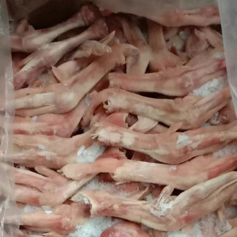 一级鹅掌