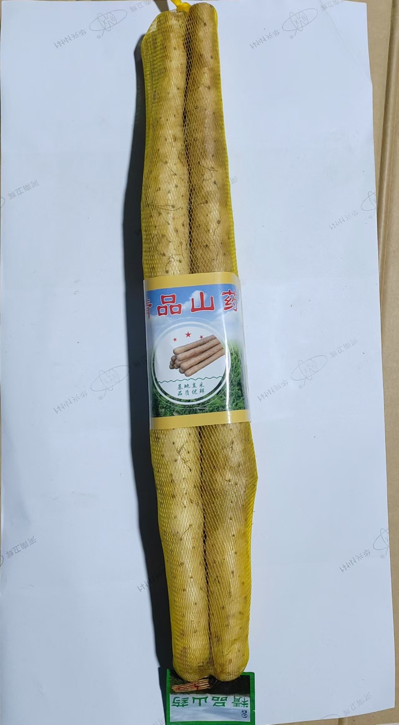 网袋小白嘴白山药水洗小白嘴山药大量供应可视频看货