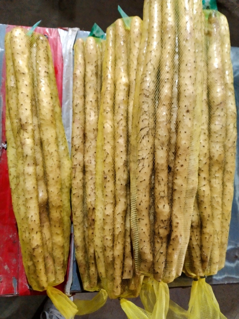 网袋小白嘴白山药水洗小白嘴山药大量供应可视频看货