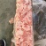 肥猪三七碎肉