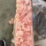 肥猪三七碎肉
