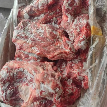 母猪颈骨