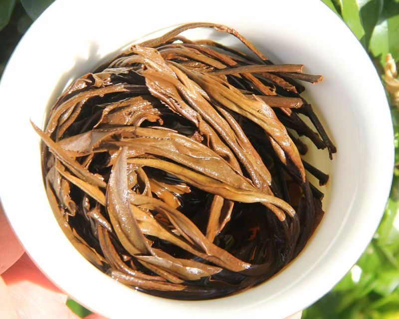 古树晒红--金枝玉叶