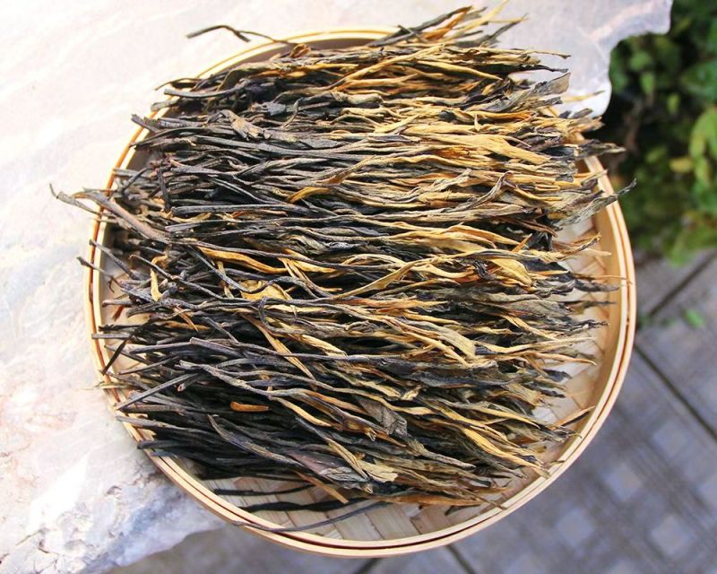 古树晒红--金枝玉叶