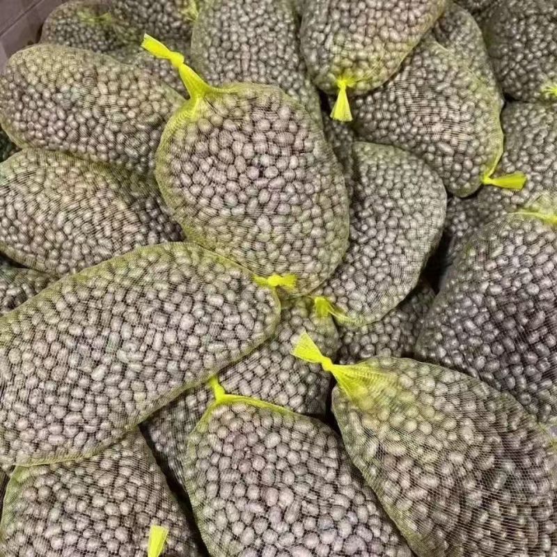 精品山药豆河北山药豆各种规格手工筛选可视频看货