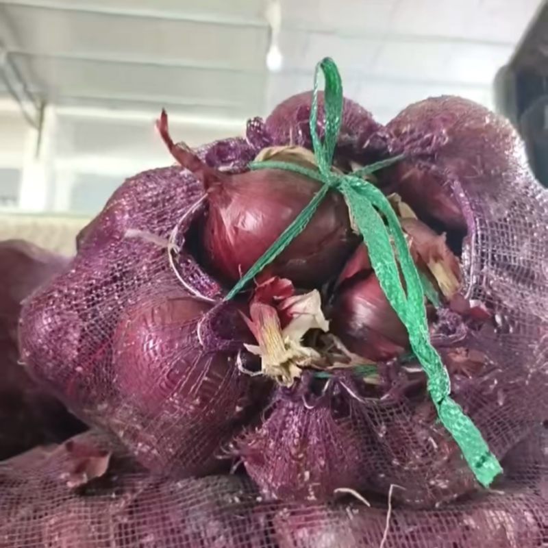 紫皮洋葱