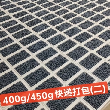2026蓝莓/各品种齐全/市场/电商/一件代发
