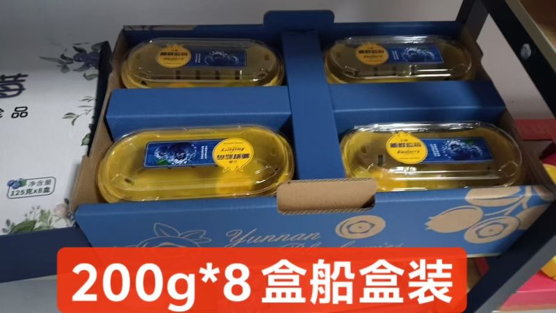 2026蓝莓/各品种齐全/市场/电商/一件代发