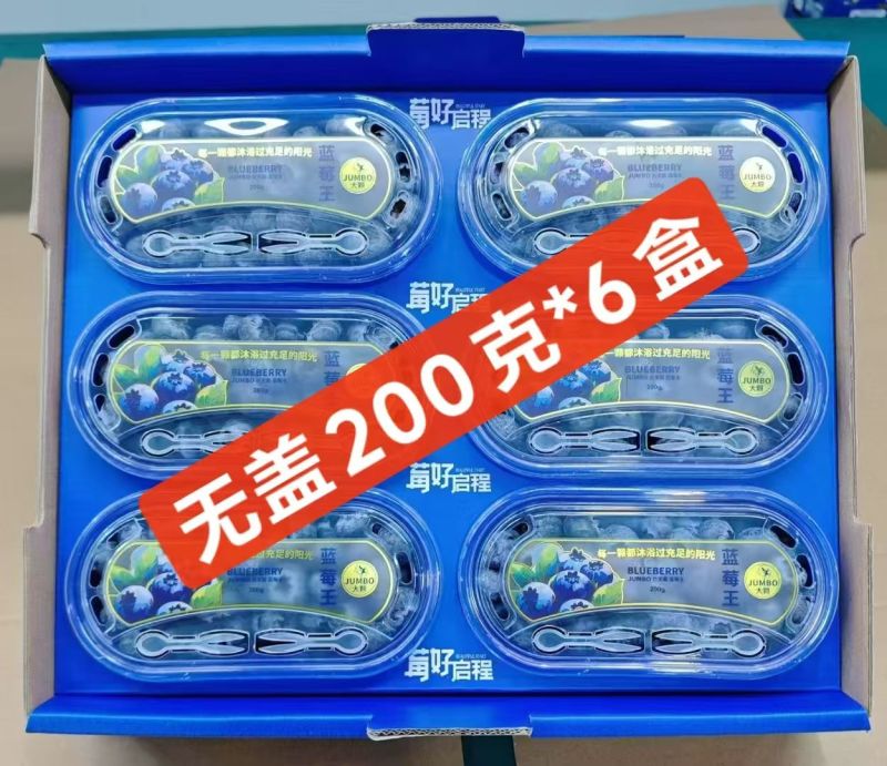 2026蓝莓/各品种齐全/市场/电商/一件代发
