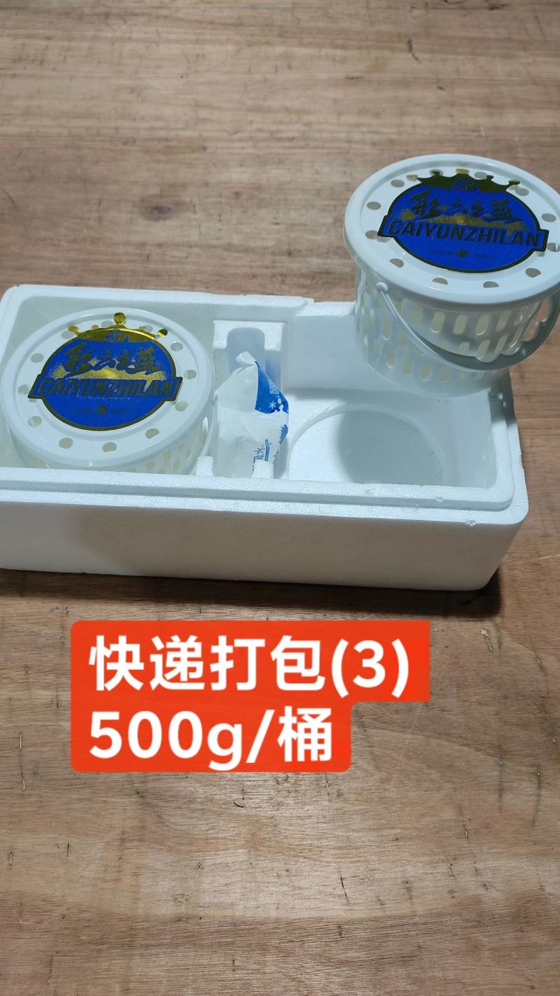 2026蓝莓/各品种齐全/市场/电商/一件代发