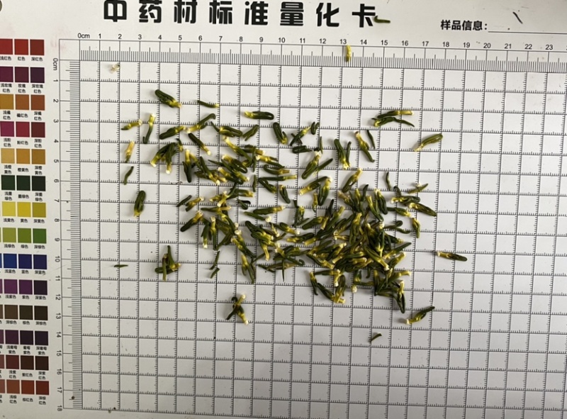 莲子芯新货无硫颜色好量大从优质量保证