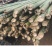 10公分及以上楠竹