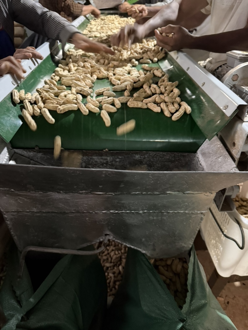 缅甸特区富硒黑花生七彩花生特选精品一手货源
