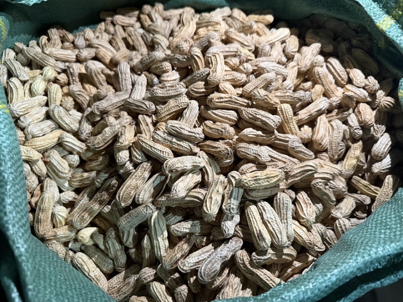 缅甸特区富硒黑花生七彩花生特选精品一手货源