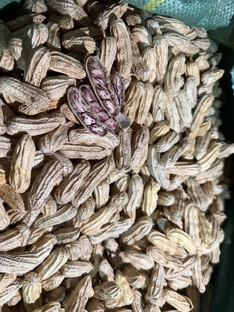 缅甸特区富硒黑花生七彩花生特选精品一手货源