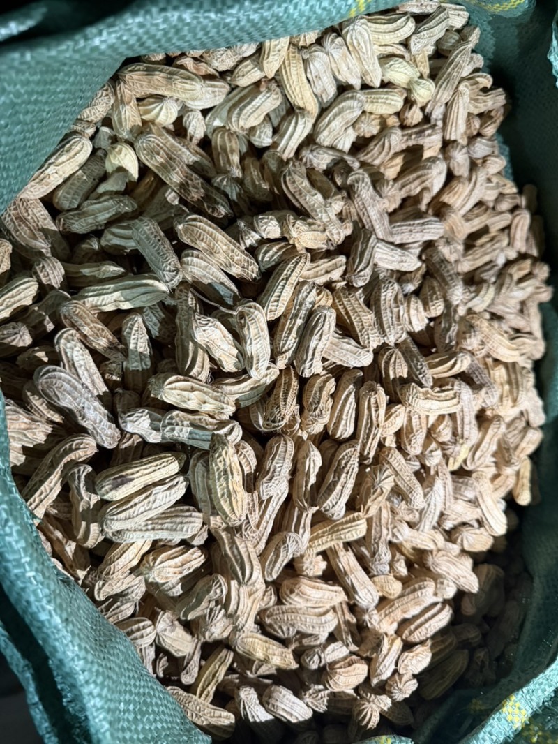 缅甸特区富硒黑花生七彩花生特选精品一手货源