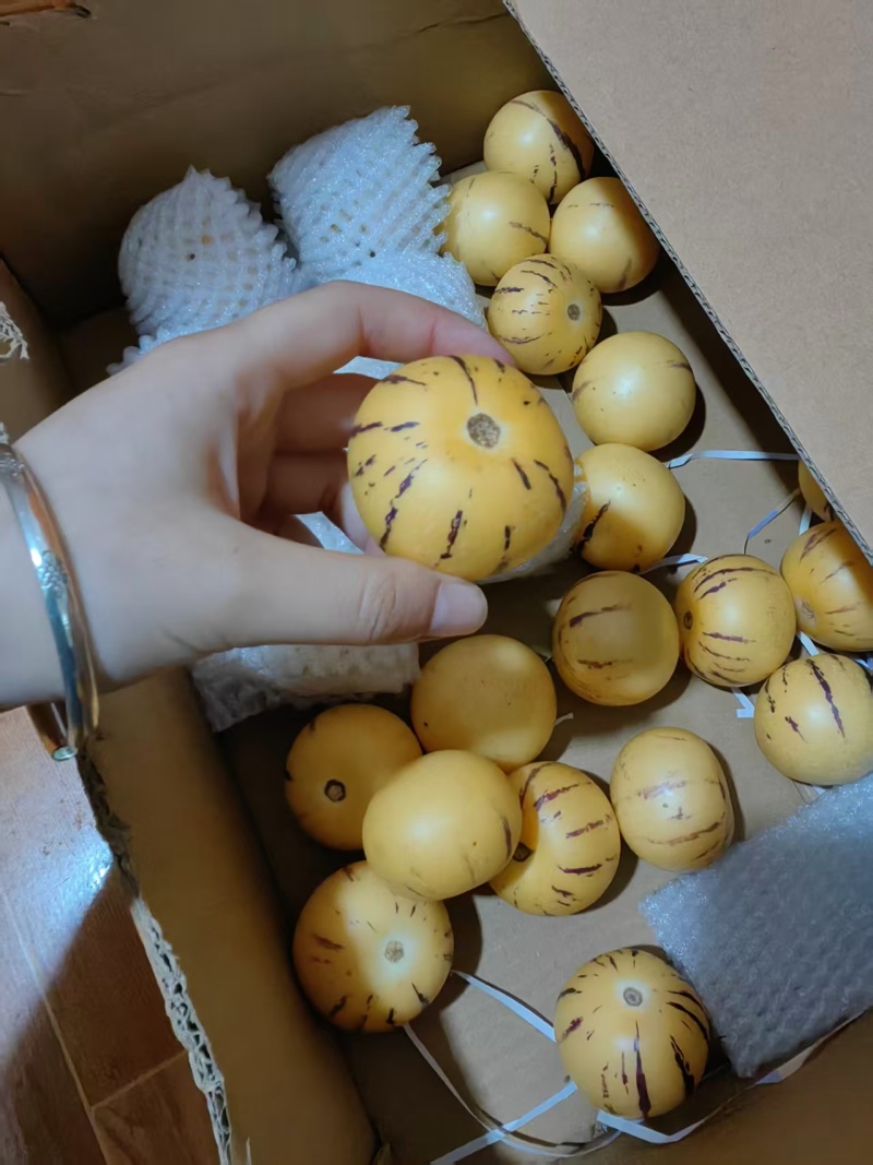 60g以下精品小果5斤装精品果人参果产地直供联系