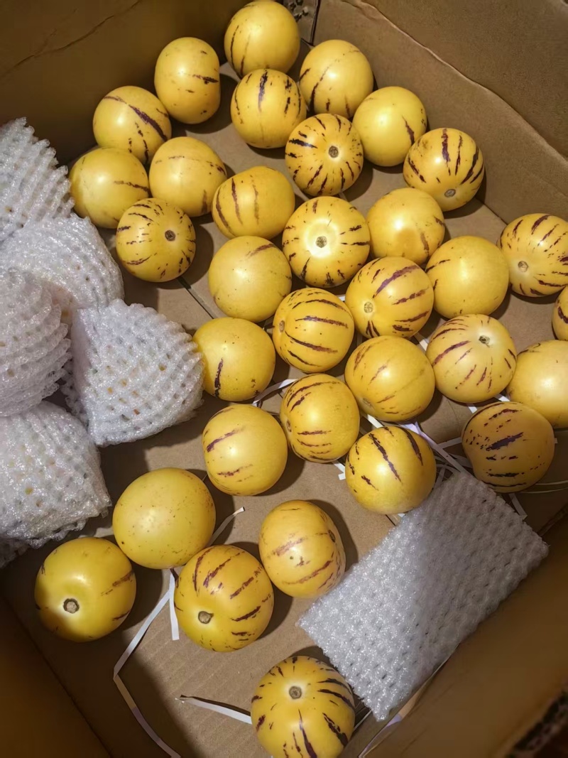60g以下精品小果5斤装精品果人参果产地直供联系