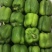 精品圆椒，量大从优，一手货源，品质保证，大量供应