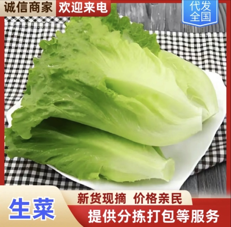 淮安生菜，当季新货新鲜现摘，产地直发品质保证，量大从优！