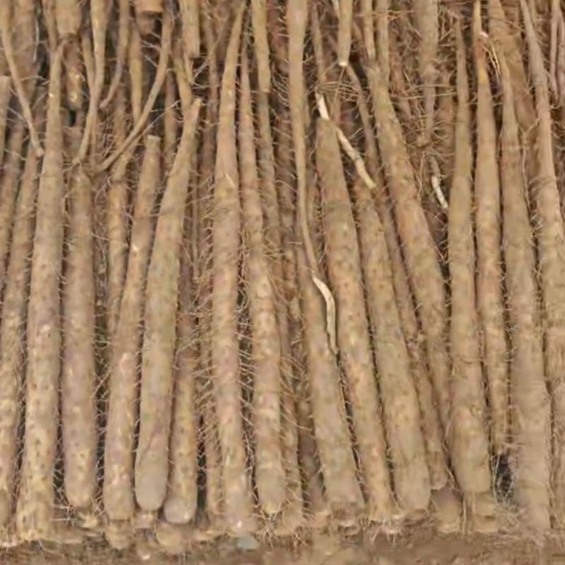 双棒山药，白玉山药，大量供应，有需要的老板联系，
