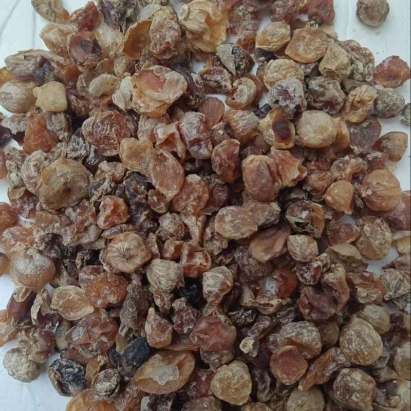 薤白干薤白新鲜薤白烘干而成品质保障一手货源