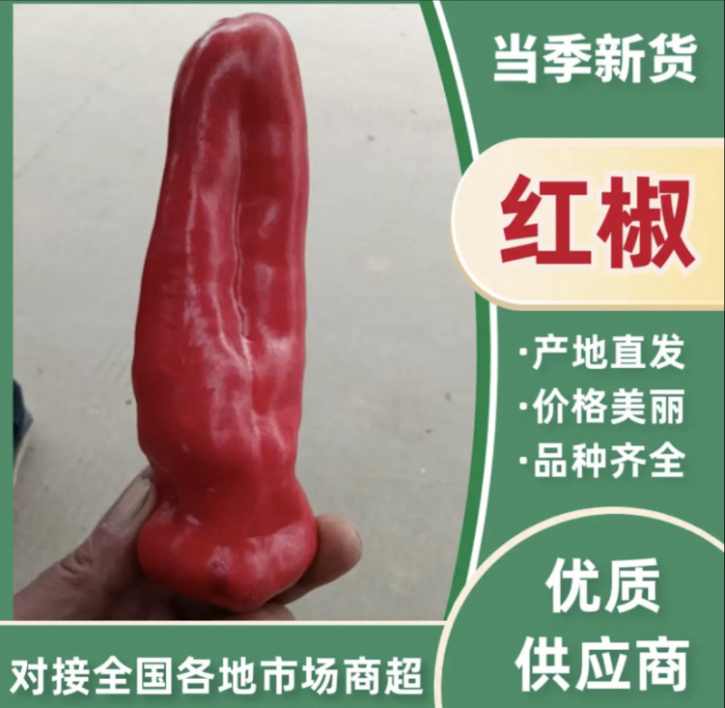当季红椒，产地直发品质保证，新鲜现摘量大从优！