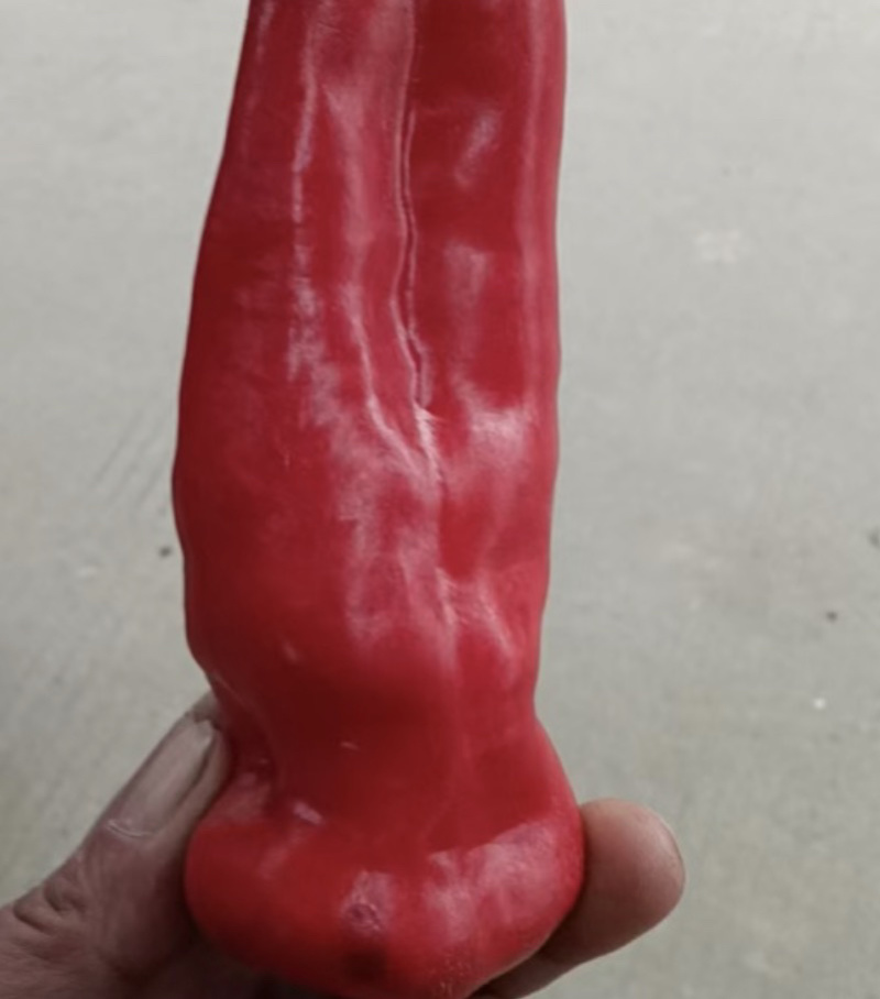 当季红椒，产地直发品质保证，新鲜现摘量大从优！