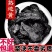 熟地黄中药材批发中草药九蒸九晒煲汤生熟地散装无硫中材