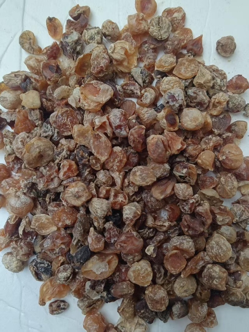 薤白干薤白新鲜薤白烘干而成品质保障一手货源