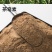 湖南野生茶籽饼头道粉碎茶粕肥料杀野生泥鳅清塘批发