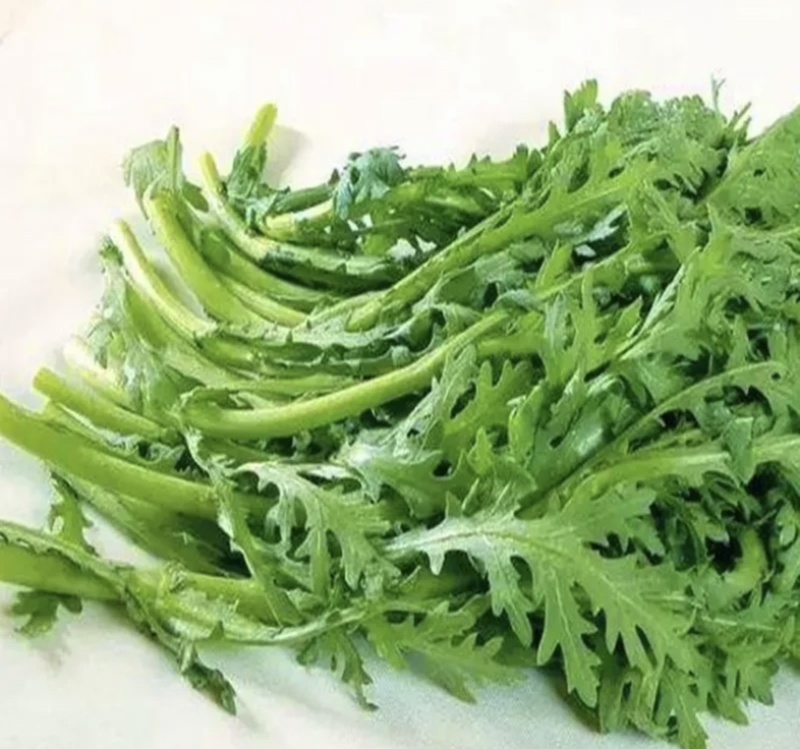 茼蒿，新鲜上市，当季现货，产地直发品质保证，量大从优