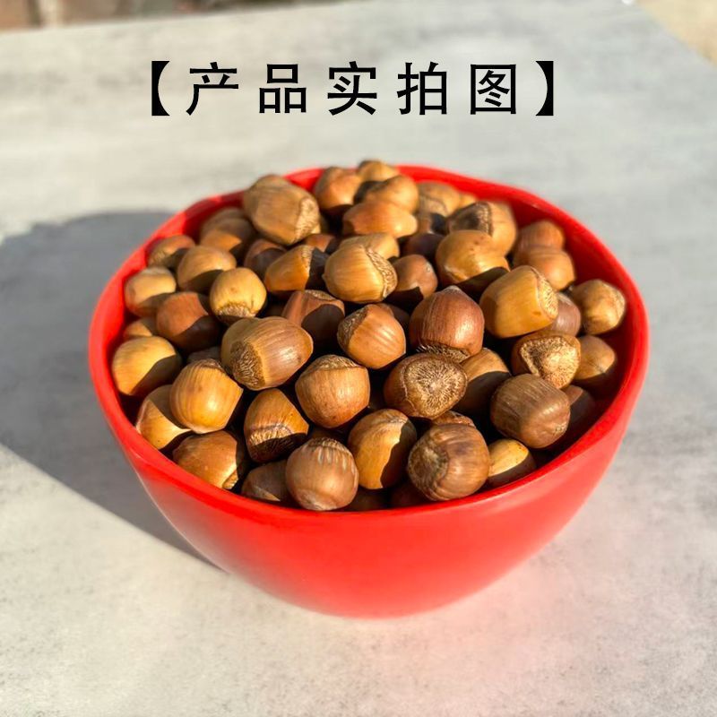 【珍珠榛子】铁岭榛子新货闭口东北炒熟坚果零食袋装原味净重