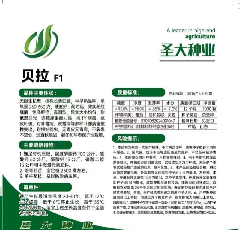 蕃茄种子，贝拉无限生长型，中早熟品种，