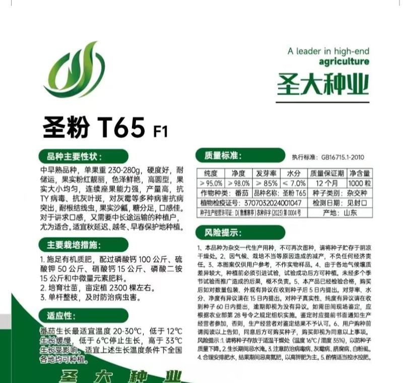 蕃茄种子，圣粉T65F1中早熟品种，