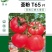 蕃茄种子，圣粉T65F1中早熟品种，