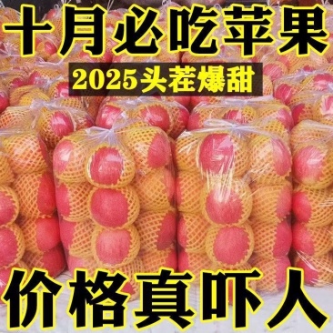 【电商代发】25年正宗山东红富士苹果脆甜冰糖心代发批发