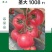 蕃茄种子,圣大1008F1长势旺盛,早熟品种,