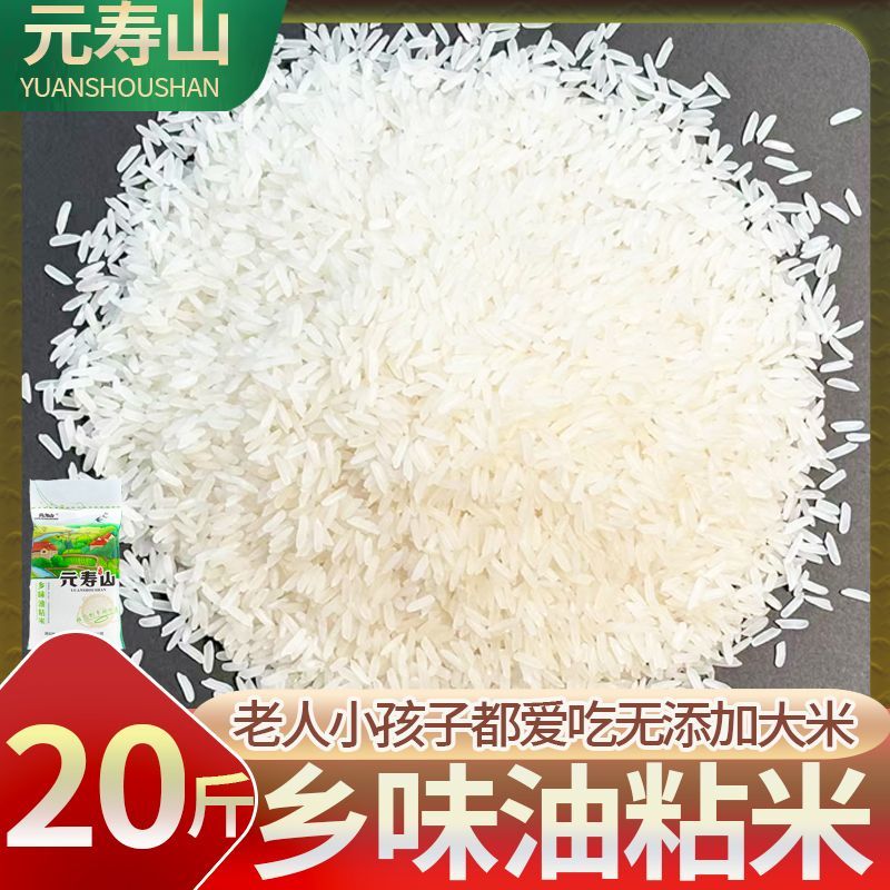云寿山农家乡味油粘米10斤20斤当季新米象牙米猫牙米