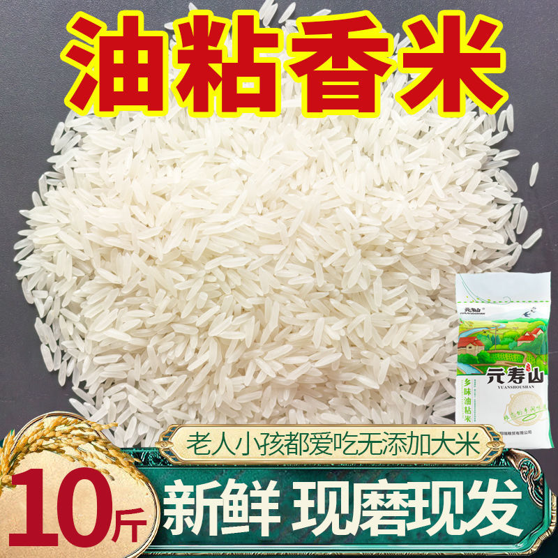 云寿山农家乡味油粘米10斤20斤当季新米象牙米猫牙米