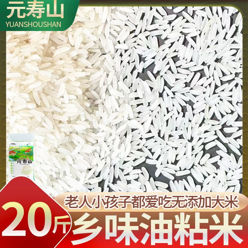 云寿山农家乡味油粘米10斤20斤当季新米象牙米猫牙米