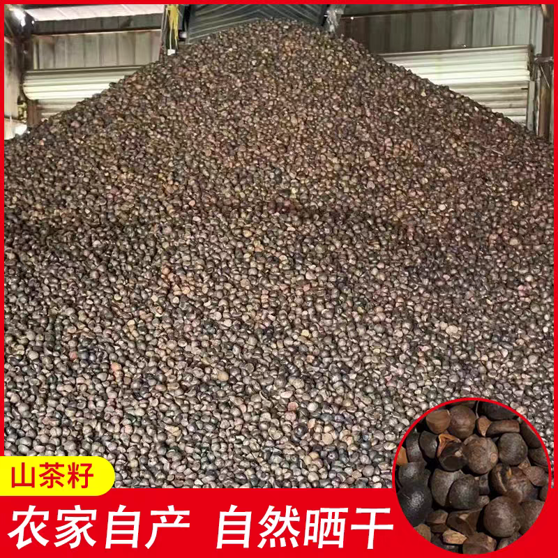 湖南野生茶仔籽已晒干出油率高源产地直供批发