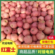 苹果、红富士苹果、河北产地一件代发全国：可视频看货