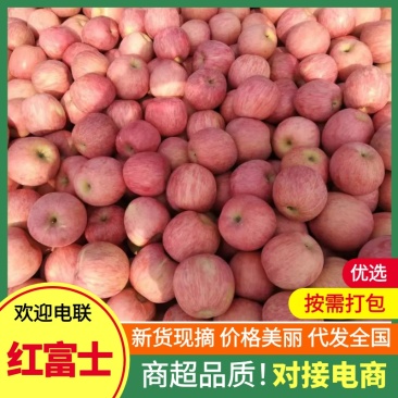 苹果、红富士苹果、河北产地一件代发全国：可视频看货