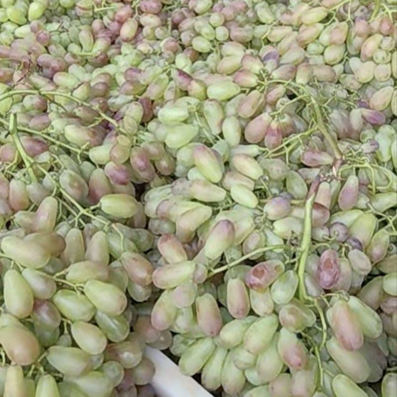 大量供应加工厂克瑞森