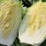 黄心菜